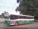 Expresos Gige 20