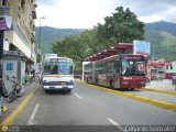 Bus CCS 1026, por Edgardo Gonzlez