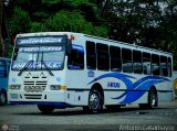 Transporte Bonanza 0018