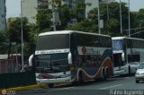 Expresos Occidente 309