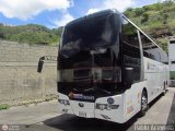 Expresos Occidente 394