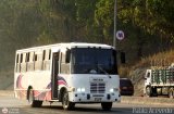 A.C. de Transporte Nmero Uno R.L. 233