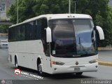 Servicios Especiales del Centro C.A. 31