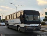 Ejecutivos Boga 02, por Alvin Rondon