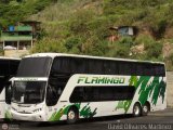Expresos Flamingo 0171, por David Olivares Martinez