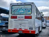 L�nea La Pastora 44