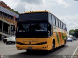Expresos San Fernando 1004
