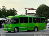 Colectivo Los Andes (M�rida - El Vigia) 556