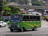 TA - Expresos Bramn 33