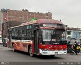 Empresa de Transporte Ocho S.A. (Per) 017