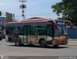 TransApure 99, por Antonio Mittilo
