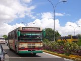 Cooperativa Canaima 07, por Alvin Rondon