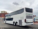 Expresos Flamingo 0141, por Josue Snchez