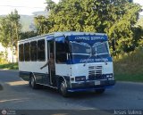 Sin identificacin o Desconocido 519
