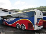 Expresos Occidente 125