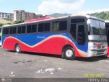 Transporte Bonanza