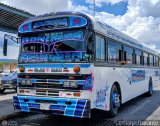 Transporte Bonanza 0012