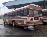 Colectivos Cachiri 43, por Sebastin Mercado