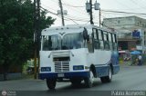Transporte Millanero