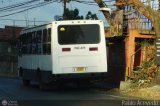 DC - A.C. Casalta - Chacato - Cafetal 243