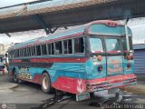 ZU - Colectivos Concepcin 105, por Sebastin Mercado