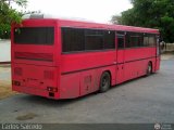 Uso Oficial  ND, por Carlos Salcedo
