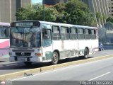 DC - Colectivos El Arenal 25
