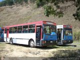 DC - Transporte Millenium 3580 07 y 10, por Edgardo Gonzlez