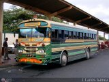 Transporte Panamericano 01