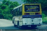 A.C. Transporte Central Mor�n Coro 013 por Pablo Acevedo