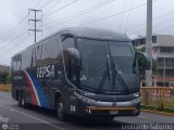 Transportes El Pino S.A. - TEPSA (Per)