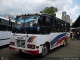 Coop. Transporte Menca de Leoni 095