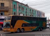 Fox Bus (Per)