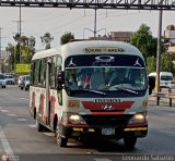 E.T. y Servicios Guadulfo Silva Carbajal (Per) 003, por Leonardo Saturno
