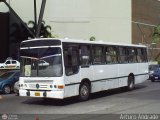 CA - Transporte Yolangel C.A.