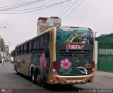 Transporte Flores Hermanos S.R.L (Per) 959, por Leonardo Saturno