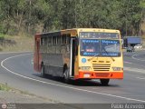 Transporte Unido (VAL - MCY - CCS - SFP) 023, por Pablo Acevedo