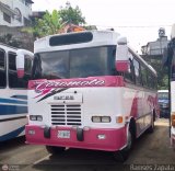 MI - U.C. Pana Sur 08