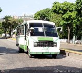 DC - Cooperativa de Transporte Pasajeros del Sur 244