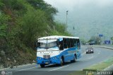 U.C. Caracas - Los Caracas 305, por Pablo Acevedo