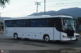 Cooperativa Rio Aragua 19, por @AlfredobusOFC