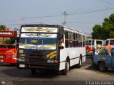 Transporte Bonanza 0040