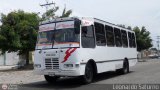 Colectivos El Viga 41, por Leonardo Saturno
