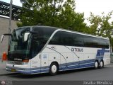 Ditobus
