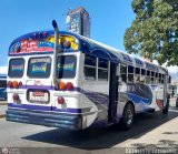 Transporte Palo Negro La Morita 2 022