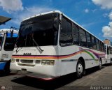 A.C. de Transporte Encarnaci�n 364, por �ngel Sal�n