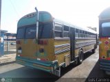 ZU - Colectivos Concepcin 033