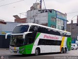 Expreso Internacional Palomino 7045, por Leonardo Saturno