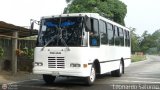 S.C. L�nea Transporte Expresos Del Chama 129