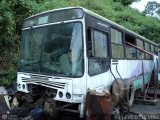 En Chiveras Abandonados Recuperacin AC0052